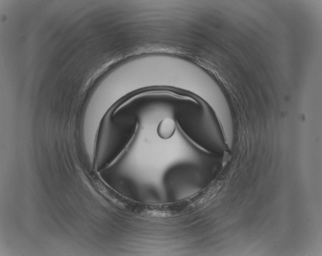 X0000080710352200701051015