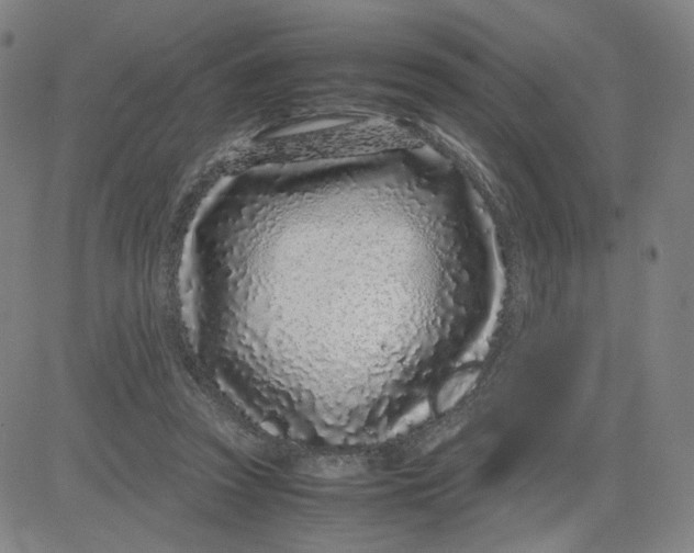 X0000080710353200701051015