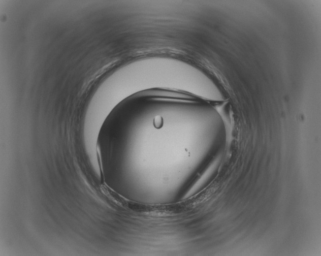 X0000080710356200701051015