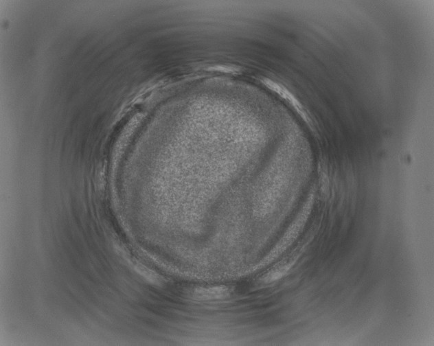 X0000080710357200701051015