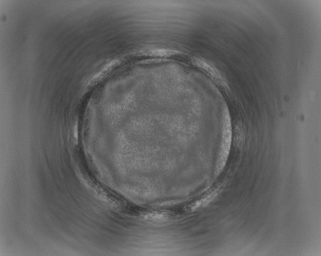 X0000080710358200701051015