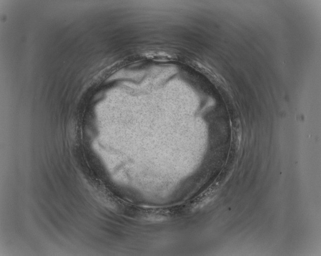 X0000080710359200701051015