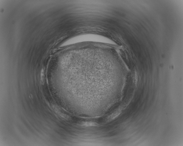 X0000080710360200701051015