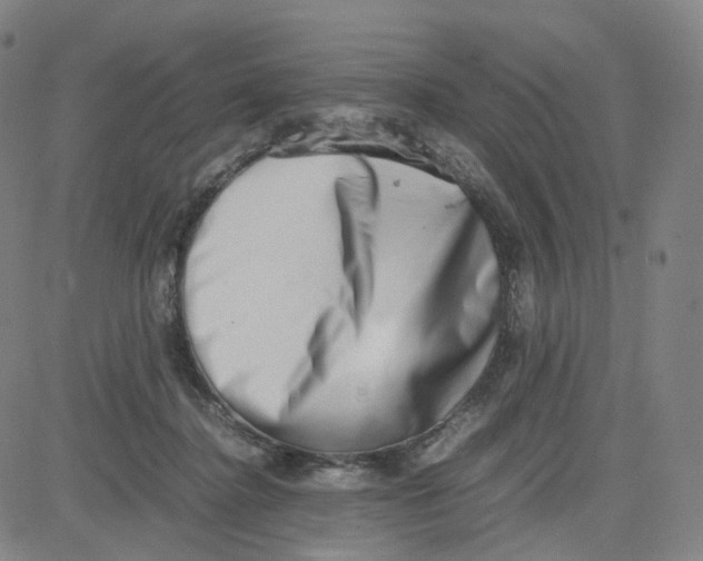 X0000080710364200701051015