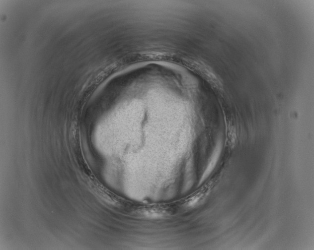 X0000080710365200701051015