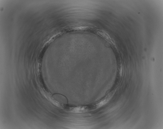 X0000080710366200701051015