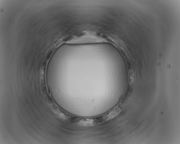 X0000080710369200701051015