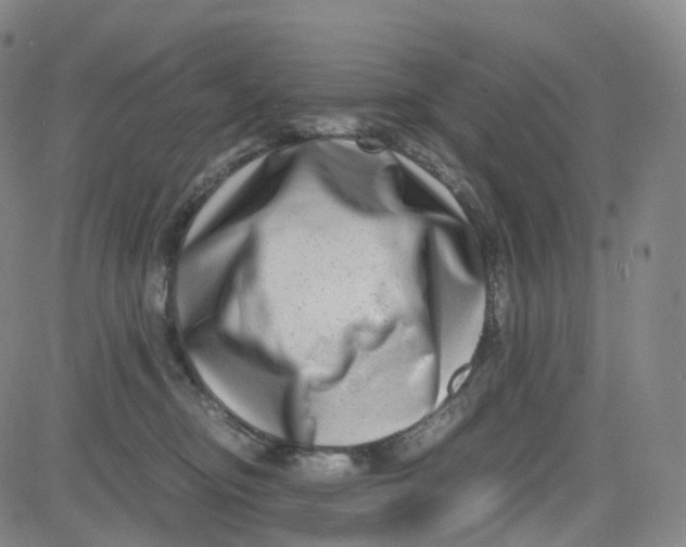 X0000080710374200701051015