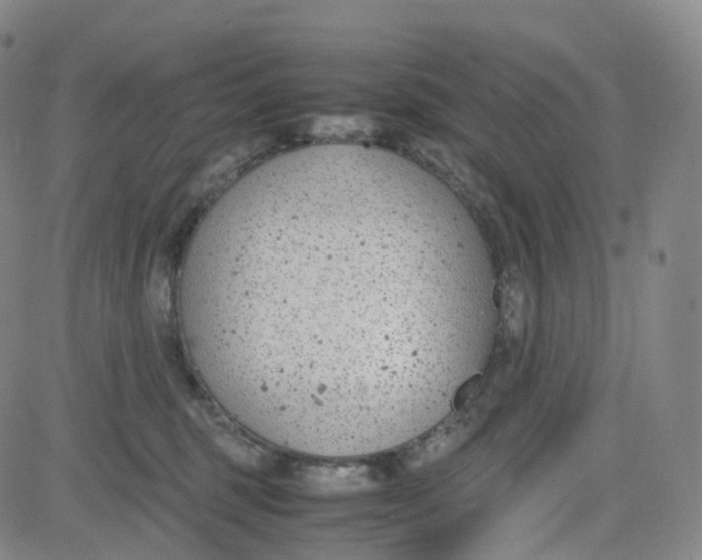 X0000080710375200701051015