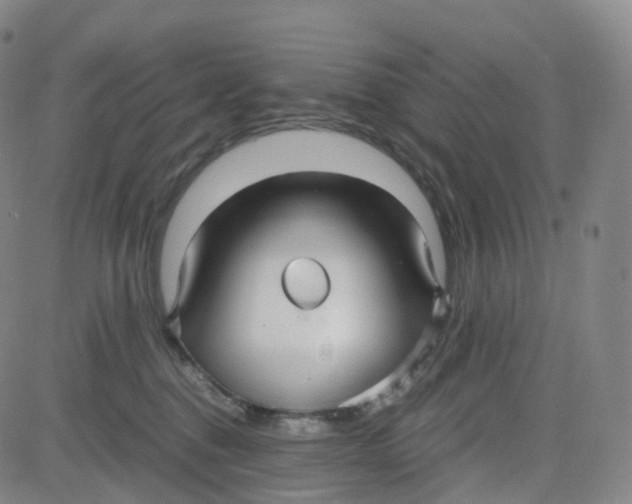 X0000080710376200701051015