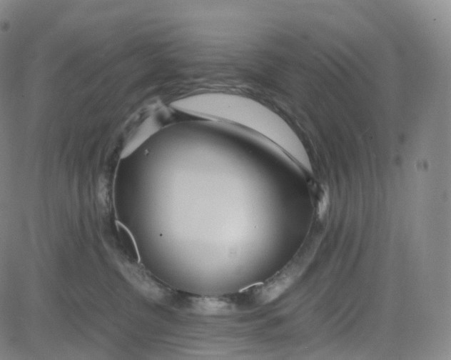 X0000080710380200701051015