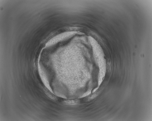 X0000080710381200701051015