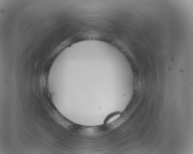 X0000080710382200701051015