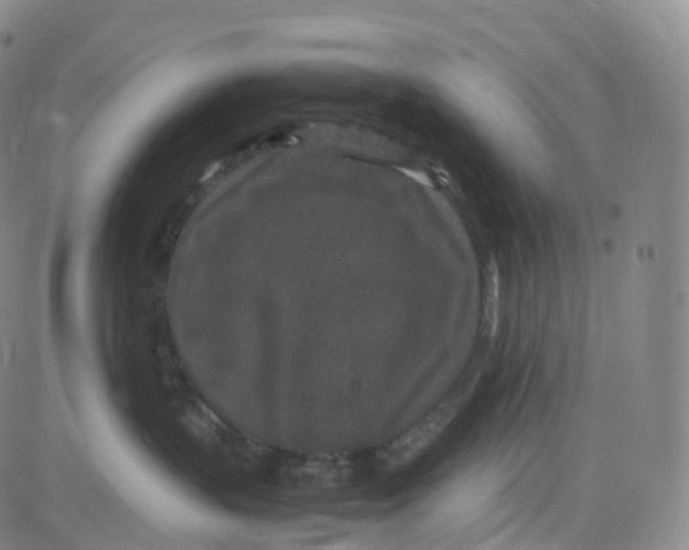 X0000080710383200701051015