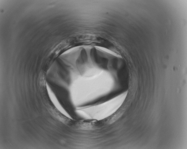 X0000080710384200701051015