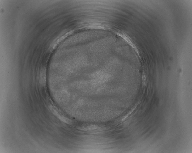 X0000080710390200701051015