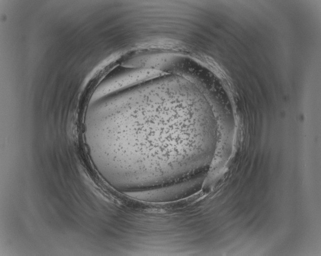 X0000080710392200701051014