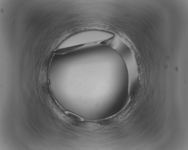 X0000080710393200701051014