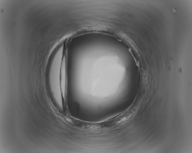 X0000080710395200701051014