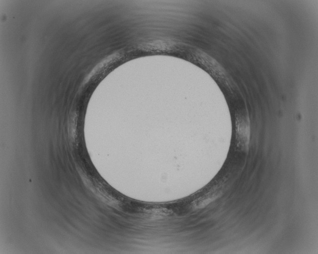 X0000080710396200701051014