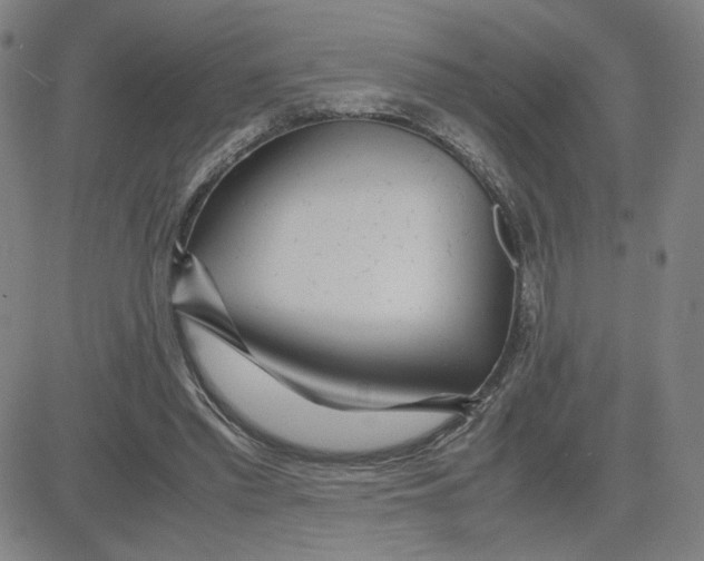 X0000080710397200701051014