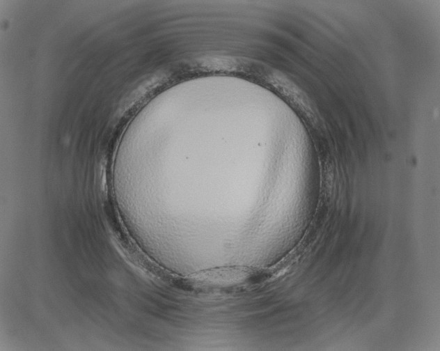 X0000080710398200701051014