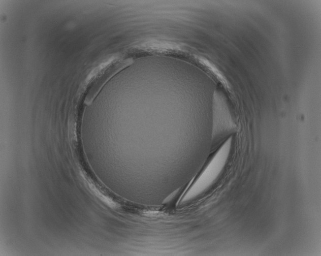 X0000080710399200701051014