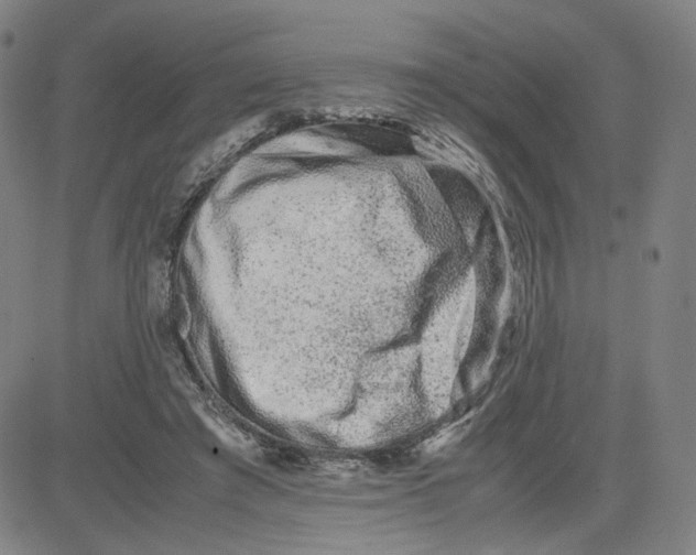 X0000080710401200701051014