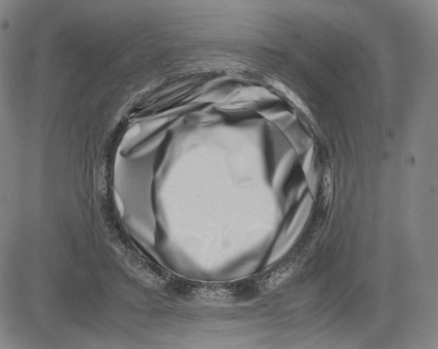 X0000080710403200701051014