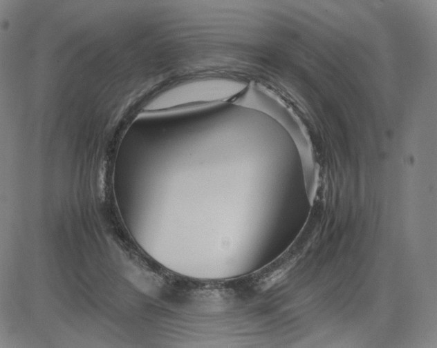 X0000080710404200701051014