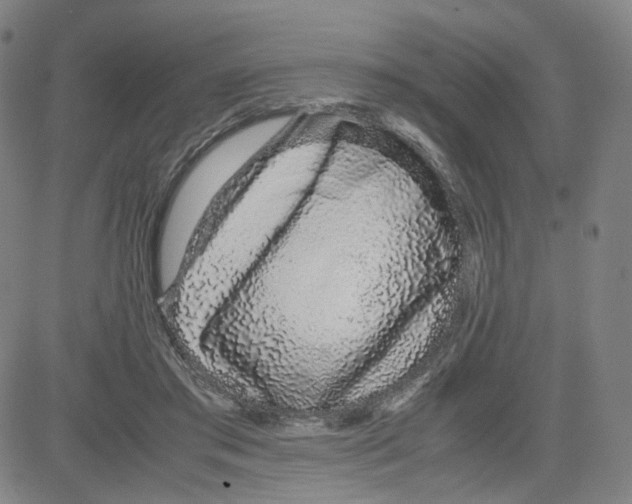 X0000080710405200701051014