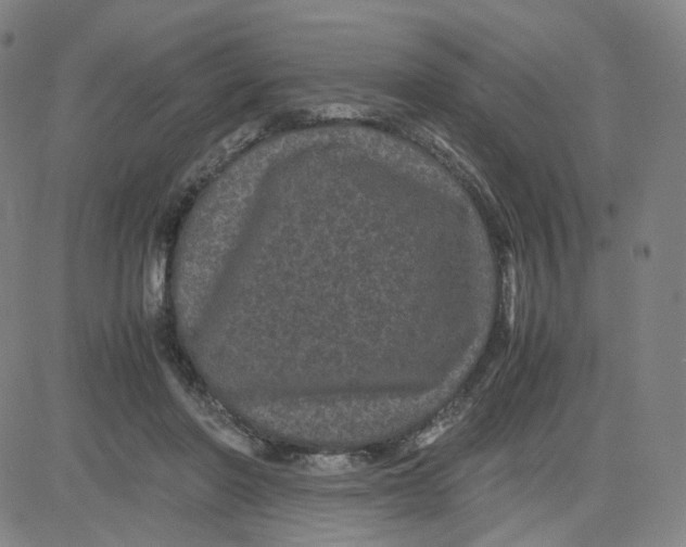 X0000080710406200701051014