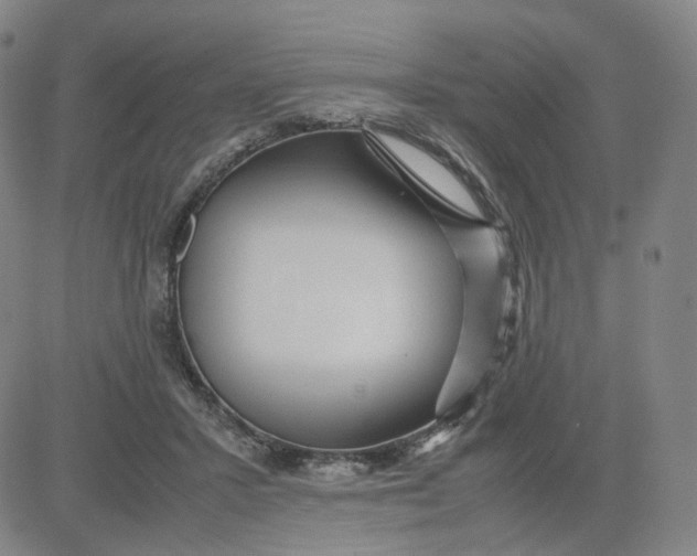 X0000080710407200701051014