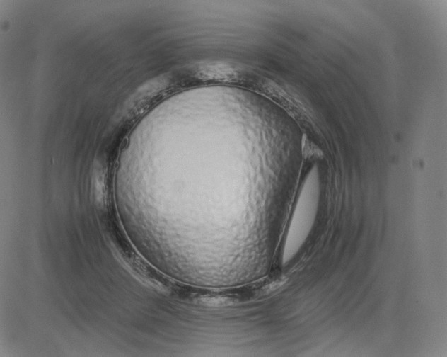 X0000080710408200701051014