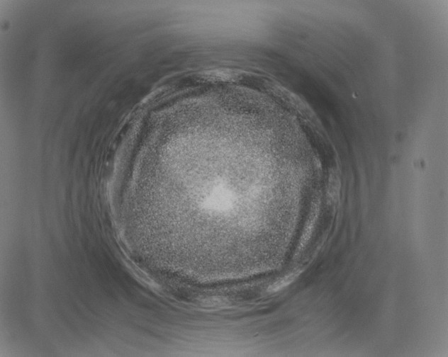 X0000080710409200701051014