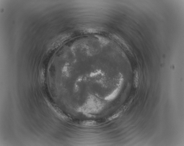 X0000080710410200701051014