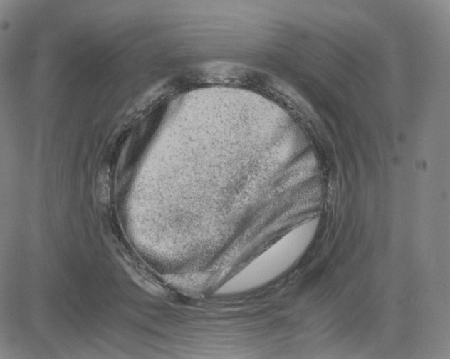 X0000080710413200701051014