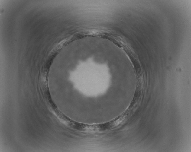 X0000080710415200701051014