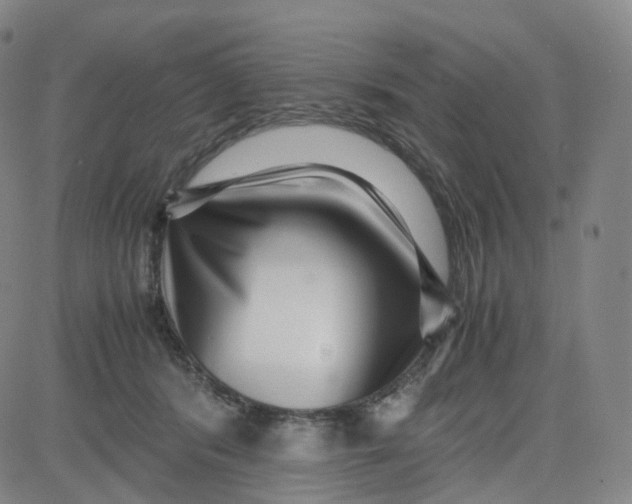 X0000080710416200701051014