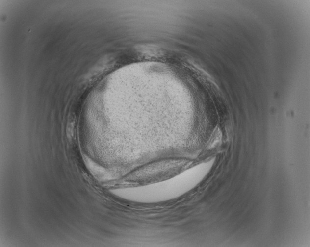 X0000080710417200701051014