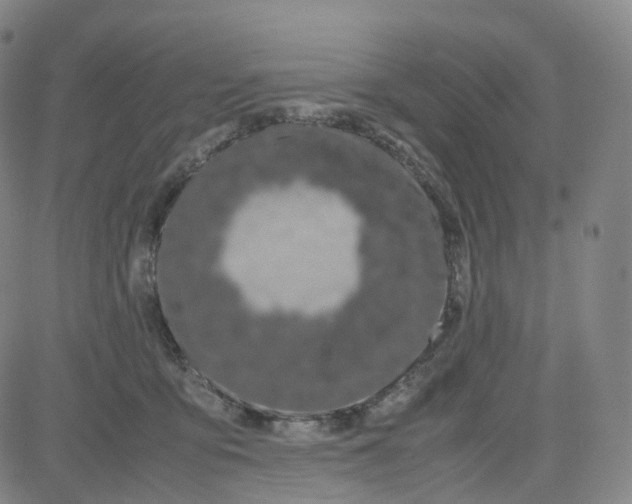 X0000080710419200701051014