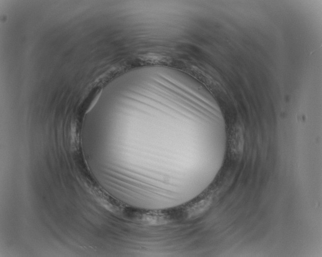 X0000080710420200701051014