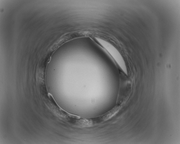 X0000080710421200701051014