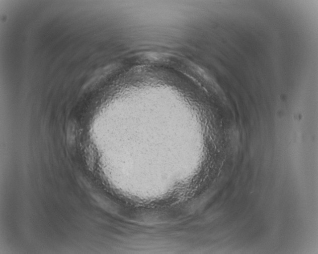 X0000080710423200701051014