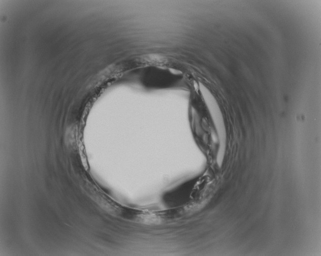 X0000080710425200701051014