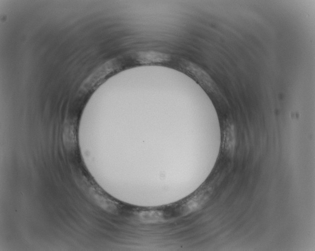 X0000080710426200701051014