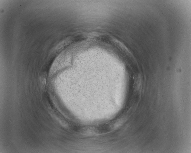 X0000080710427200701051014