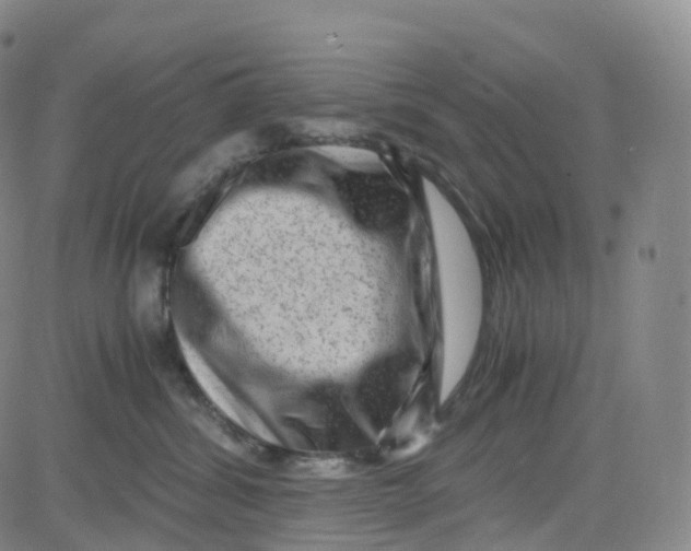 X0000080710428200701051014