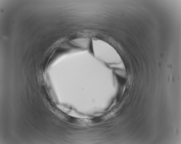 X0000080710429200701051014