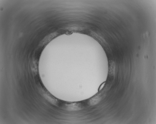 X0000080710430200701051014